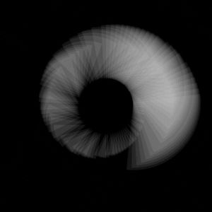 perfect loop,black and white,processing,creative coding,shell,p5art,openprocessing,imperfect
