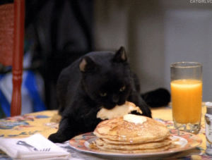 breakfast,salem the cat,salem saberhagen,sabrina the teenage witch,cat,animals,eating,pancakes,salem,pancake