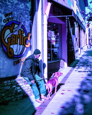 jon moxley,wwe,film,dog,purple,motorcycle,35mm,nimslo,wigglegram,garlic,lomography,lomochrome
