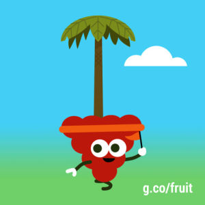 google,running,google doodle,fruit games,raspberry,run