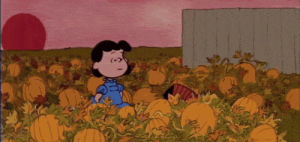 charlie brown,snoopy,halloween,peanuts,its the great pumpkin charlie brown,spoopy,halloween cartoon,cute halloween,holiday classic