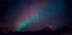 aurora borealis,aurora,northern lights,night,sky,auroras