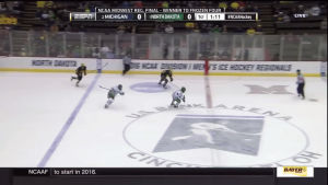hockey,goal,ice,player,scores,referee