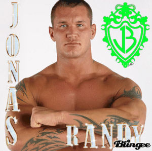 Randy orton схемы вышивки