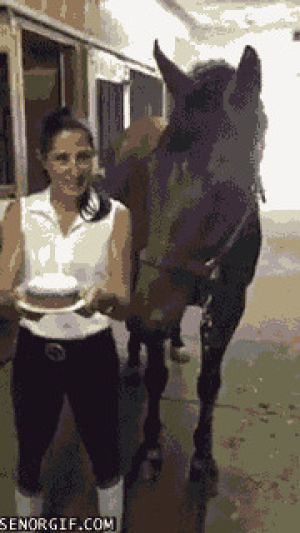 birthday,candles,horse,seor