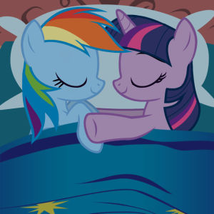 my little pony,twilight sparkle,mlp,twidash,rainbow dash