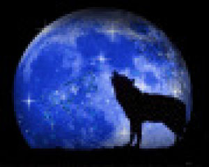 wolf,blue moon,picture,blue,moon,evil