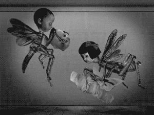 colin raff,grotesque,animation,art,creepy,birth,dolls,insects,puppenoptrids
