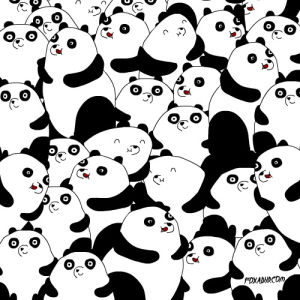 panda,fox,artists on tumblr,cute,flash mob,animation domination,fox adhd,csaba klement,panda bear,animation domination high def