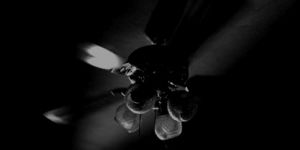 ceiling fan,black and white,twin peaks,fan,laura palmer,shadow