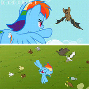 rainbow dash,rainbowdash,my little pony,fluttershy,tank,mlp songs,rd,find a pet,may the best pet win
