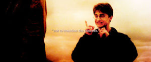 harry potter,pinsers
