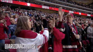 arizona coyotes,hockey,nhl,fans,clapping,high five,cheering,ice hockey,coyotes,yotes