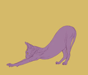 sphynx,sphinx,sphynx cat,animation,cat,illustration,lee min young,miss a