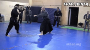 martial arts,mma,krav maga,instructional,kata,ninjutsu,budo,taijutsu,akban,traditional mma,koku