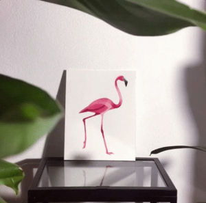 pink flamingo,flamingo,low poly,animation,sashaunilove
