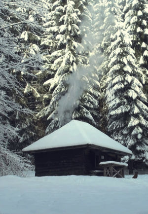 winter,fire,cabin,nature,snow