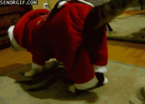 christmas cat,santa,cat,christmas,fat,lazy,suit,animal christmas