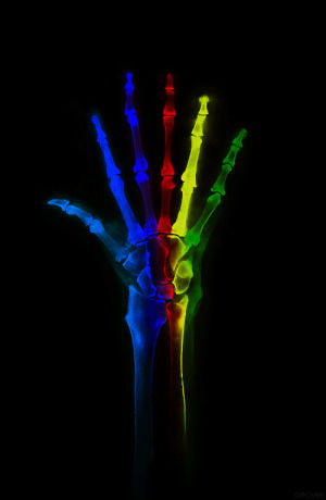 rainbow,neon,loop,skeleton,graffiti,bones,x ray,street art,arm,shok 1,x rainbow