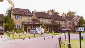 harry potter and the philosophers stone,harry potter,cute,fave,potter,owls,privet drive
