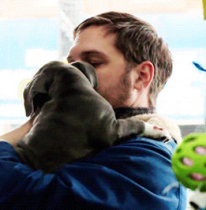 tom hardy,the drop,the cutest,thedit