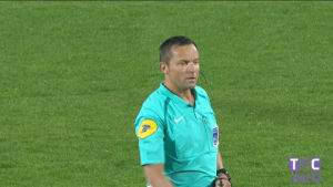 referee,ok,sports,soccer,good,ligue 1,tfc,toulouse fc