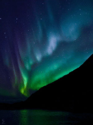 mountains,aurora borealis,water,aurora,lights,reflection,northern,borealis,opticoverload