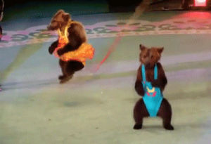jump rope,jumping rope,bear,costumes