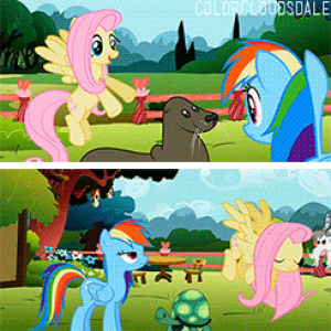 fluttershy,rainbow dash,cartoon,colorful,my little pony,ponies,rainbowdash,mlp songs,rd,may the best pet win,find a pet