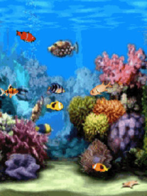 Aquarium GIF - Find on GIFER