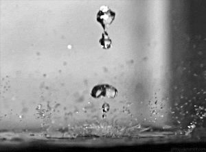 backwards,slow,black and white,water,drop