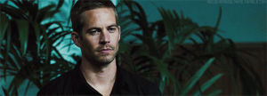 paul walker,bae,fast and furious,blue eyes,brian oconner,favourite actor,paul walker queue,blue eyed angel,tomandjerry,ann richards,its my job,ignore the red hair,future elijah,jld,future sep,tv serials