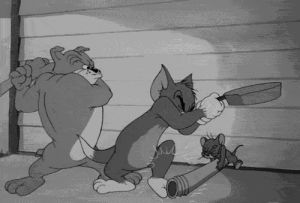 fighting,tom and jerry,angry