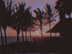 vhs,90s,glitch,beach,sunset