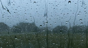 window,rainy,cozy,yogaduke,winter,fall,autumn