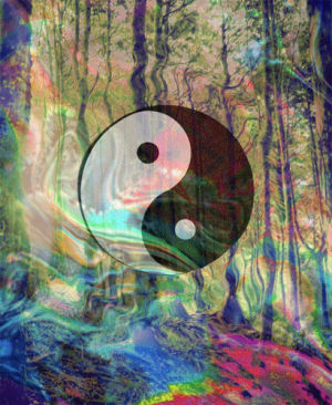 trippy,nature,ying and yang