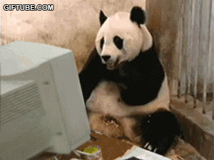computer,panda,ship it