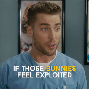 schitts creek,dustin milligan,ted mullins,funny,comedy,humour,cbc,canadian,bunnies,vet,schittscreek,rabbits,exploited,pulling the plug