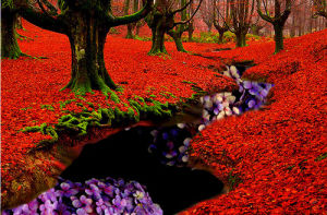 forest,psychedelic,beauty,red,flowers,creek,gabber picnic,gabberpicnic,altered state