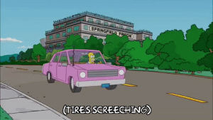 homer simpson,season 20,eating,episode 15,skateboarding,driving,20x15,throwing out the window