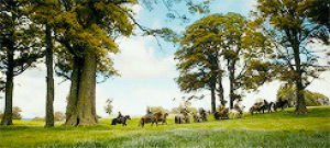 woods,movies,the hobbit,horses,riding