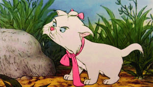 cat,disney,pink,kitten,white,tongue,aristocats