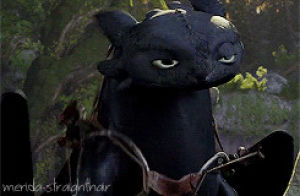 toothless,httyd,how to train your dragon,you have no idea how much i laughed while doing this gifset