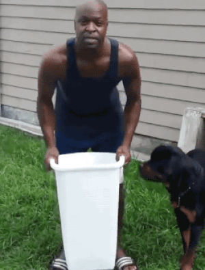 fail,ice bucket challenge