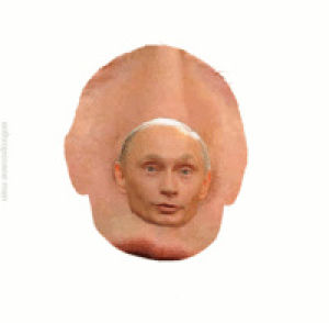Гифка владимир путин гиф картинка, скачать анимированный gif на GIFER