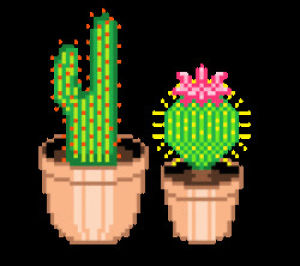 plants,cactus,pots,plant,transparent,art,nature,pixel,cacti,prettytransparents