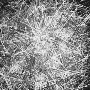 loop,trapcode,noise,ae,redgiant,black and white,after effects,mir