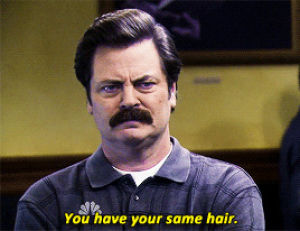 parks and recreation,2015,amy poehler,leslie knope,ron swanson,nick offerman,mio,mparks,idr my parks and rec tag,you have your same hair