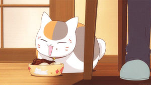anime cat,neko,nyanko sensei,art,cat,anime,kawaii,natsumes book of friends,madara cat