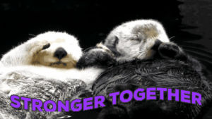 stronger together,otter,otters